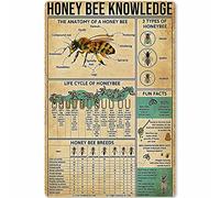 PUBDSKBLDE Honey Bee Knowledge Metal Tin Sign Information About Bees Planing Diagram Poster Plaque for School Education Bar Cafe Club Home Kitchen Wall Decoration 8x12 Inches