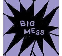 Public Body - Big Mess