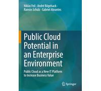 Public Cloud Potential in an Enterprise Environment: Public Cloud as a New IT Platform to Increase Business Value