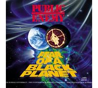 Public Enemy - Fear Of A Black Planet