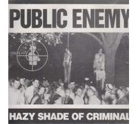 Public Enemy - Hazy Shade of Criminal