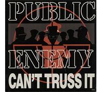 Public Enemy - PUBLIC ENEMY / CAN'T TRUSS IT