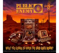 Public Enemy - What You Gonna Do When The Grid Goes Down?