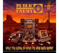 Public Enemy - What You Gonna Do When The Grid Goes Down - COMPACT DI - F600z