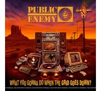 Public Enemy - What You Gonna Do When The Grid Goes Down? [New CD] Explicit