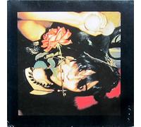 PUBLIC IMAGE LTD - PUBLIC IMAGE LTD the flowers of romance, 203 410 320