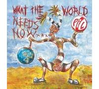 PUBLIC IMAGE LTD - What The World Needs Now... - Vinyl Record - E3447z