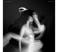 Public Memory - Demolition [VINYL]