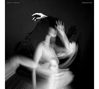 Public Memory - Demolition [VINYL]