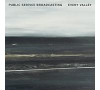 Public Service Broad - Every Valley - Vinyl Record - J123z