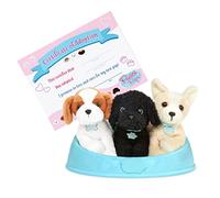 Pucci Pals Adopt-A-Pup Plush Dogs, 3 Puppies with Dog Bed Set, Theme 3