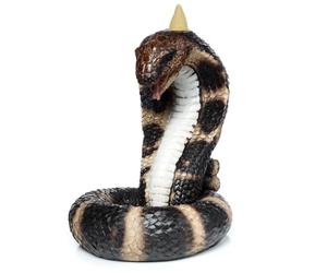 Puckator Coiled Cobra Snake Backflow Incense Burner - Home Zen Meditation Decor Accessories - Incense Waterfall Cone Burner - Spiritual Feng Shui Gothic Goth Relaxation Gifts Gift - Desk Ornaments