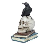 Puckator Crow Standing on Skull and Books Ornament - Home Decoration - Crow on Skulls and Books - Ornaments - Resin - Home Accessories - Living Room Accessories - Human Skeleton - Goth Gifts For Men