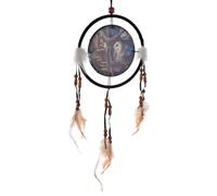 Puckator DCPB06L Lisa Parker Fairy Tales Owl & Fairy Dreamcatcher 16cm