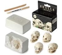 Puckator DIG52 Human Skull Dig-A-Saurs Dig it Out Kit
