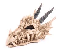 Puckator DRG186 Dragon Skull Money Box 19 x 11 x 11 cm, Mixed, Height 11cm Width