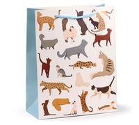 Puckator Feline Fine Cats Gift Bag Large - Birthday Gift Bag For Presents - Present Bag For Females - Kids Birthday Presents - Present Bags For Gifts - Gift Box For Baby
