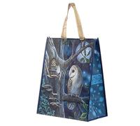 Fairy Tales Owl and Fairy Lisa Parker Reusable Shopping Bag