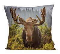 Puckator Moose Photograph Cushion, Bedroom, Living Room, Kitchen, Home Décor 45x45cm Polyester Cover 50x49x10cm Insert