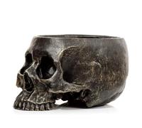 Puckator Skull Garden Planter