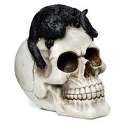 Puckator Skull with Black Cat Ornament - Home Decoration - Skull With Black Cat - Ornaments - Resin - Home Accessories - Living Room Accessories - Human Skeleton - Goth Gifts For Men