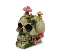 Puckator Skull with Toadstools & Moss - Cute Goth Gothic Skull Scary Room Decor - Aesthetic Accessories Ornaments - Shelf Desk Decorations - Mindfulness Home Gifts - Statues
