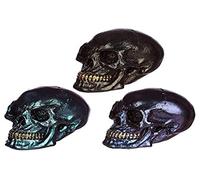 Puckator Small Iridescent Skull - Home Decoration - Iridescent Skull - Ornaments - Resin - Home Accessories - Living Room Accessories - Human Skeleton - Goth Gifts For Men