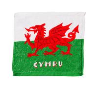 Puckator Welsh Dragon Wales (Cymru) Compressed Travel Towel CT34 | Acotis - Cotton / Polyester