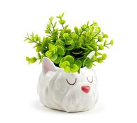Puckator Westie Dog Head Shaped Ceramic Indoor Freestanding Planter Plant Pot - Indoor Decorative Plant Pots - House Plant Basket Pot Gifts - Home Decoration Gift Planter Planters For Women Flowerpot