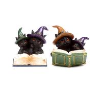 Puckator Witches Magical Black Cat Spell Book CAT202 | Acotis - Resin