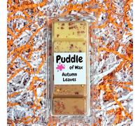 Puddle of Wax - Autumn Leaves Soy Wax Melt Snap Bar - 50g - Halloween Scent - Vegan Friendly - Made in the UK