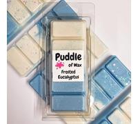 Puddle of Wax - Frosted Eucalyptus Soy Wax Melt Snap Bar - 50g - Laundry Scent - Vegan Friendly - Made in the UK