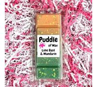 Puddle of Wax - Lime Basil & Mandarin Soy Wax Melt Snap Bar - 50g - Fruity Scent - Vegan Friendly - Made in the UK