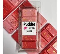 Puddle of Wax - Spring Soy Wax Melt Snap Bar - 50g - Laundry Scent - Vegan Friendly - Made in the UK