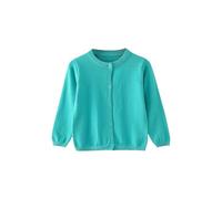 Puddle Suit Kids Round Neck Sweaters Baby Girls Boys Solid Colour Jumpers Toddler Knitwear Unisex Basic Cardigans Knitted Tops Fall Winter Spring Clothes Mint Green 3-4 Years