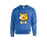 Pudsey Bow Jumper, Children Need Bear Sweatshirt, Bear Pudsey Jumper, Together We Can School Event, Unisex Top (Royal Blue, 3 Years)