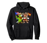 Puerto Rican Spanish Roots Spain Flag Puerto Rico Heritage Pullover Hoodie
