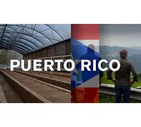 Puerto Rico: After the Storm