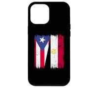 Puerto Rico Egypt Half Flag Puerto Rican Egyptian Heritage Case for iPhone 12 Pro Max