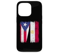 Puerto Rico Egypt Half Flag Puerto Rican Egyptian Heritage Case for iPhone 13 Pro