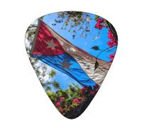 Puerto Rico Flag Print Organizer Storage Box Different Thickness Guitar Picks For Acoustic Guitar