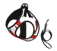 Puerto Rico Flag Rican No Pull Dog Harness and Leash Set, Cute Reflective Adjustable Vest for Small Dogs,Breathable Mesh Puppy Harness for Walking Hiking,Small