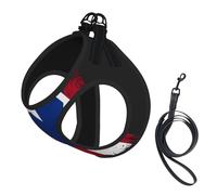 Puerto Rico Flag Rican No Pull Dog Harness and Leash Set, Cute Reflective Adjustable Vest for Small Dogs,Breathable Mesh Puppy Harness for Walking Hiking,Small