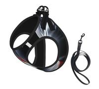 Puerto Rico Flag Rican No Pull Dog Harness and Leash Set, Cute Reflective Adjustable Vest for Small Dogs,Breathable Mesh Puppy Harness for Walking Hiking,Small