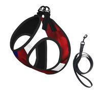Puerto Rico Flag Rican No Pull Dog Harness and Leash Set, Cute Reflective Adjustable Vest for Small Dogs,Breathable Mesh Puppy Harness for Walking Hiking,Large