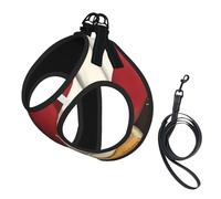 Puerto Rico Flag Rican No Pull Dog Harness and Leash Set, Cute Reflective Adjustable Vest for Small Dogs,Breathable Mesh Puppy Harness for Walking Hiking,Medium