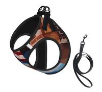 Puerto Rico Flag Rican No Pull Dog Harness and Leash Set, Cute Reflective Adjustable Vest for Small Dogs,Breathable Mesh Puppy Harness for Walking Hiking,Small