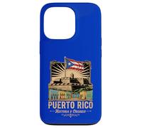 Puerto Rico Historia Y Orgullo Flag Case for iPhone 13 Pro