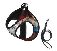 puerto rico wallpaper flag print Dog Harness and Leash Set, Reflective Adjustable Puppy Vest for Small Medium Large Dogs, Cats