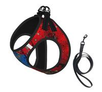 Puerto rico Wallpaper Flag Print Small Dog Harness with Leash Set, No Escape Easy Walk Puppy Harnesses for Training Walking